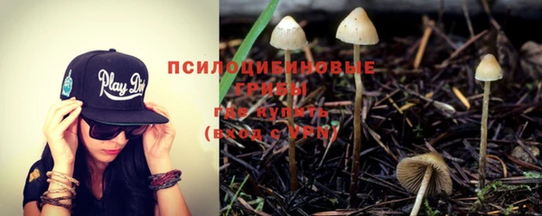 гашик Абдулино