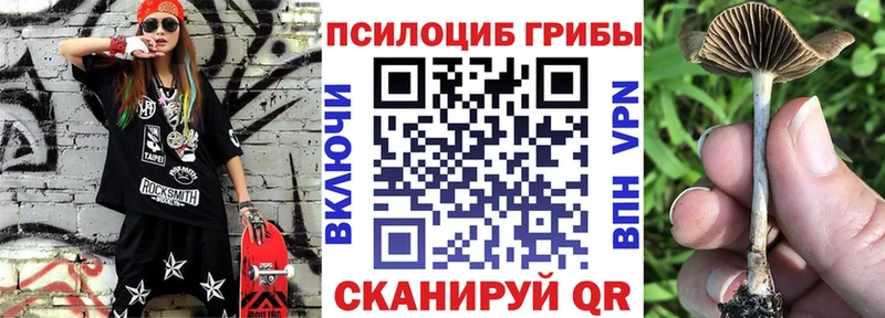 сайты даркнета клад  Щучье  Псилоцибиновые грибы MAGIC MUSHROOMS 