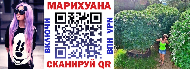 Конопля AK-47  Щучье 